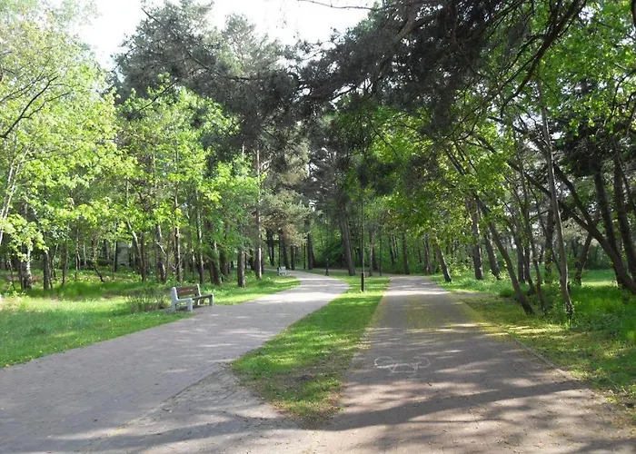 Nadmorski Navio Przy Plazy